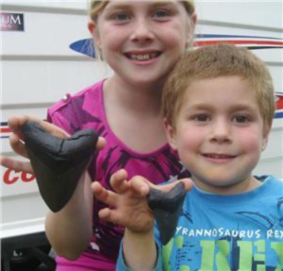 Island Campsite Narrawong